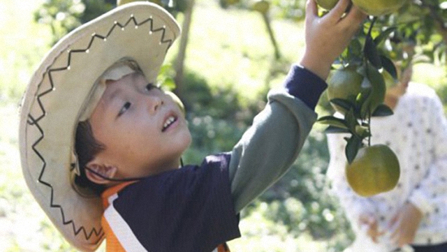 享譽國際的台灣農業