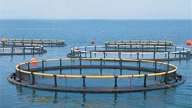 科技創新的台灣漁業