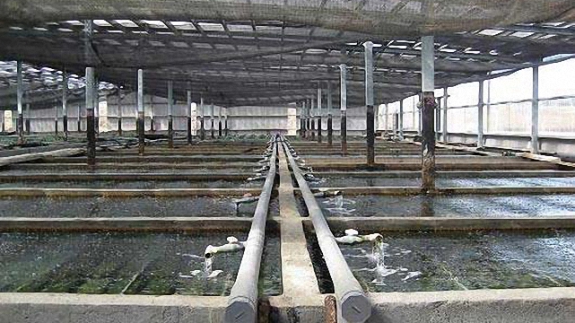 科技創新的台灣漁業