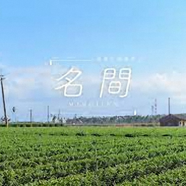 青山茶 青山茶
