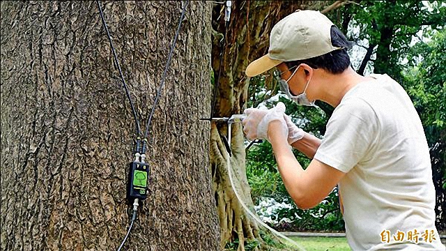 經濟與生態的台灣林業