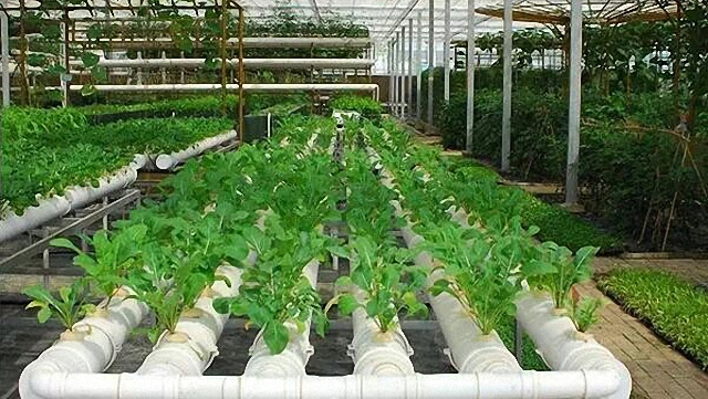 享譽國際的台灣農業