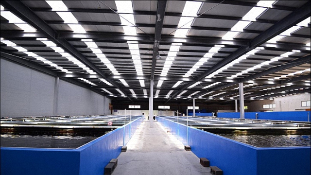 科技創新的台灣漁業