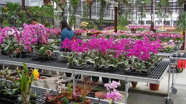 享譽國際的台灣農業