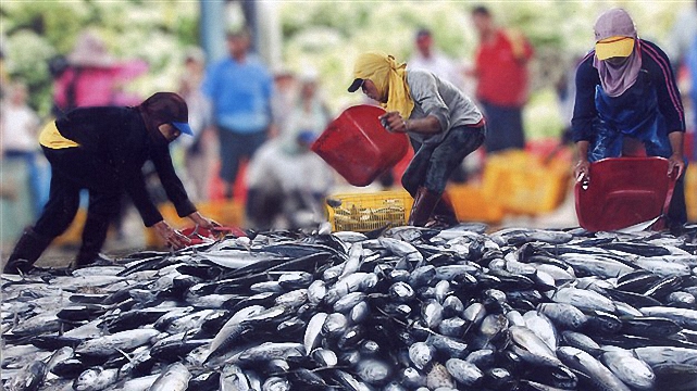 科技創新的台灣漁業