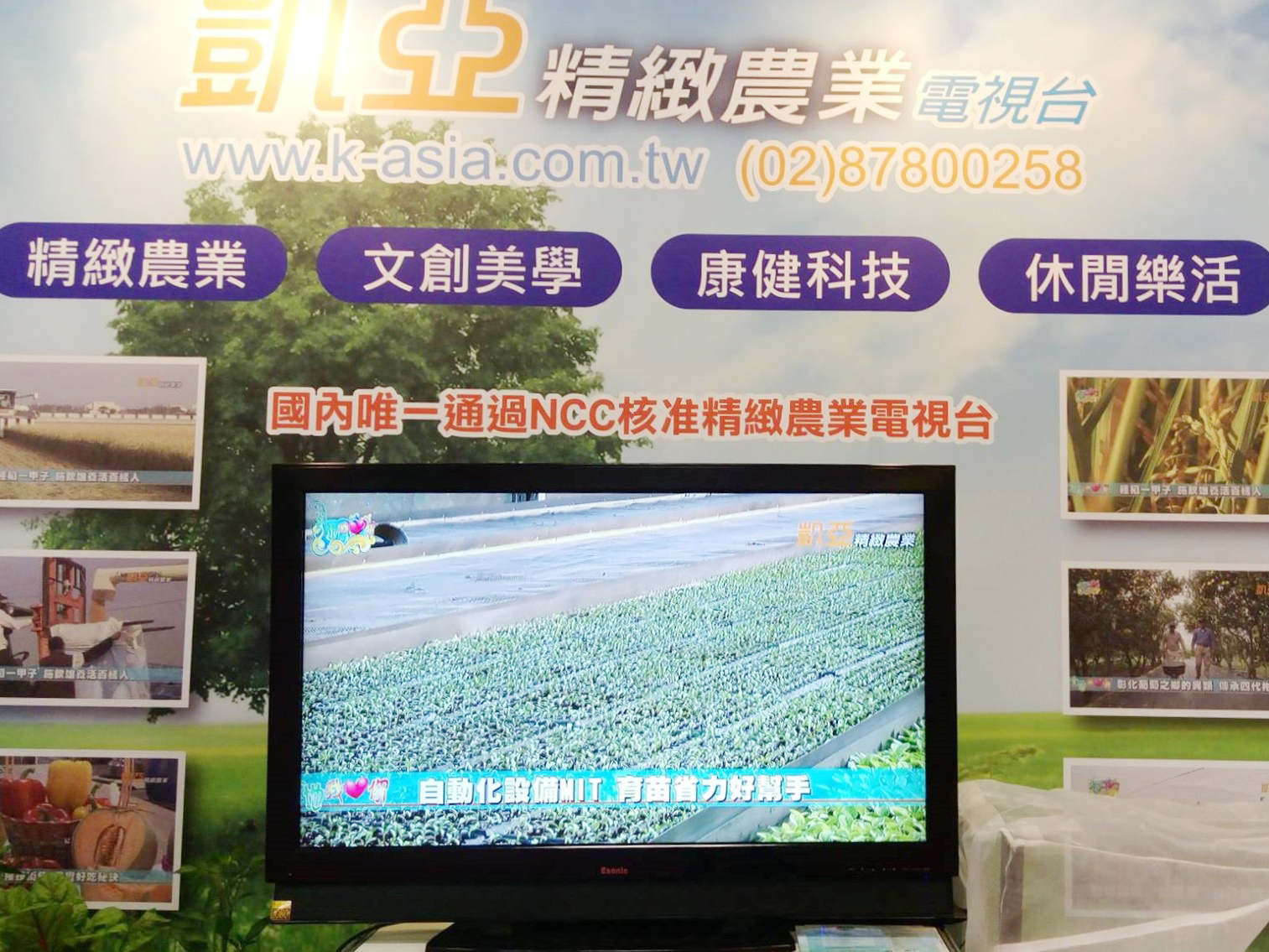 產業發展 產業發展