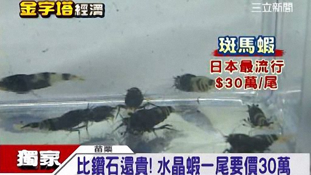 科技創新的台灣漁業