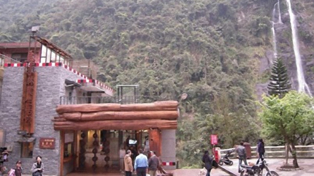 經濟與生態的台灣林業