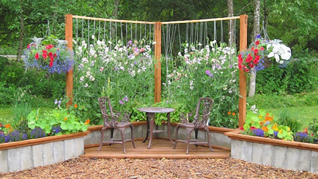 享譽國際的台灣農業